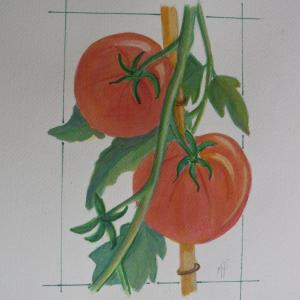 2 tomates