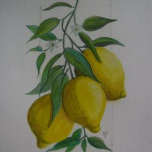 3 citrons 