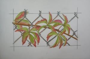 Accroche au grillage