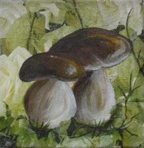 Des cèpes