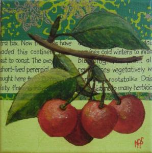 Cerises