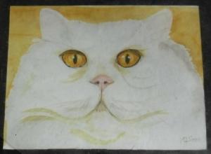 chat blanc