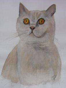 chat de Julie