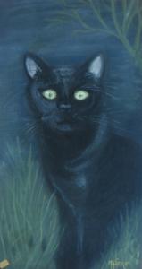 Chat noir