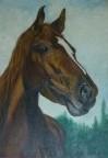 cheval / vendu