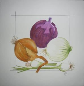 Collection d'oignons