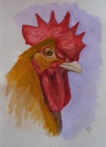 Coq doré / Vendu