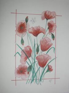Coquelicots