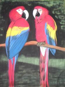 Duo de Aras