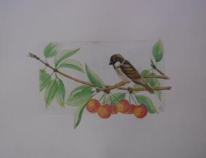 L'envieu