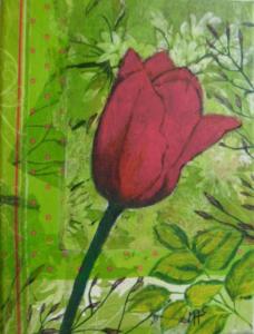La tulipe