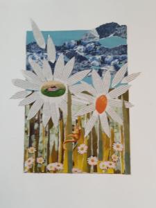 Marguerites dans le pré