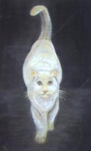 le félin