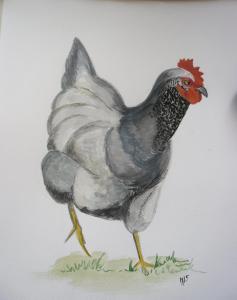 La poulette