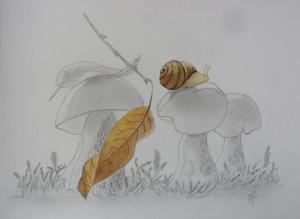 l'escargot