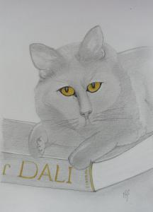 Chat lecteur