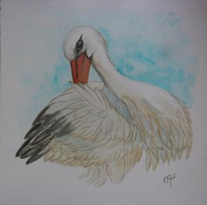 cigogne
