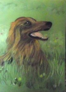 setter