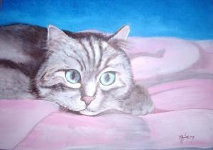 Ma minette copie